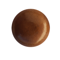 121-Avellana